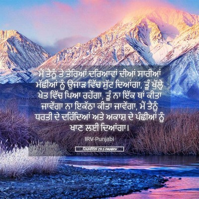 Picture 05 - ਹਿਜ਼ਕੀਏਲ 29:5 PANIRV - ਮੈਂ ਤੈਨੂੰ ਤੇ - Bible Verse Picture