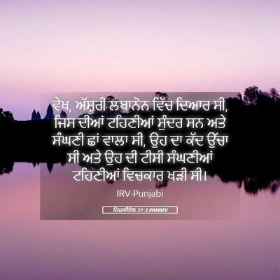Picture 05 - ਹਿਜ਼ਕੀਏਲ 31:3 PANIRV - ਵੇਖ, ਅੱਸ਼ੂਰੀ - Bible Verse Picture
