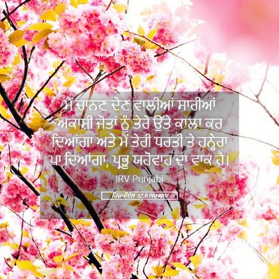 Picture 05 - ਹਿਜ਼ਕੀਏਲ 32:8 PANIRV - ਮੈਂ ਚਾਨਣ ਦੇਣ - Bible Verse Picture