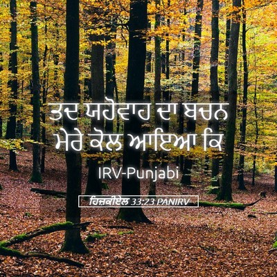 Picture 05 - ਹਿਜ਼ਕੀਏਲ 33:23 PANIRV - ਤਦ ਯਹੋਵਾਹ ਦਾ ਬਚਨ - Bible Verse Picture
