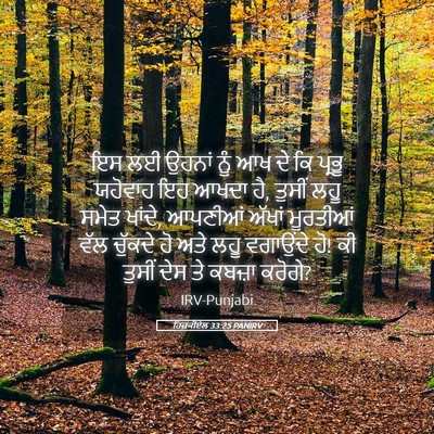 Picture 05 - ਹਿਜ਼ਕੀਏਲ 33:25 PANIRV - ਇਸ ਲਈ ਉਹਨਾਂ ਨੂੰ ਆਖ - Bible Verse Picture