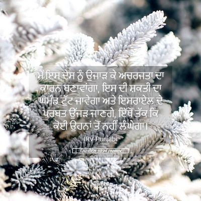 Picture 05 - ਹਿਜ਼ਕੀਏਲ 33:28 PANIRV - ਮੈਂ ਇਸ ਦੇਸ ਨੂੰ ਉਜਾੜ - Bible Verse Picture