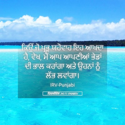 Picture 05 - ਹਿਜ਼ਕੀਏਲ 34:11 PANIRV - ਕਿਉਂ ਜੋ ਪ੍ਰਭੂ - Bible Verse Picture