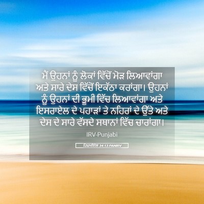 Picture 05 - ਹਿਜ਼ਕੀਏਲ 34:13 PANIRV - ਮੈਂ ਉਹਨਾਂ ਨੂੰ - Bible Verse Picture