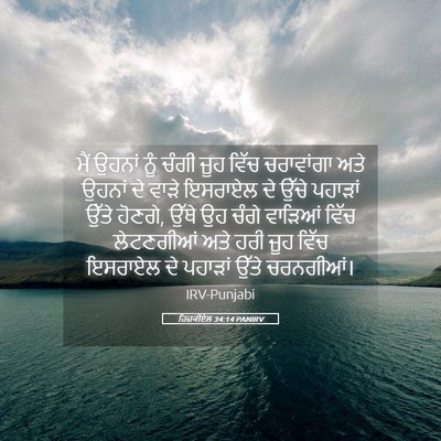 Picture 05 - ਹਿਜ਼ਕੀਏਲ 34:14 PANIRV - ਮੈਂ ਉਹਨਾਂ ਨੂੰ ਚੰਗੀ - Bible Verse Picture