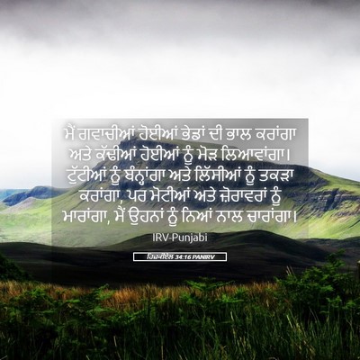 Picture 05 - ਹਿਜ਼ਕੀਏਲ 34:16 PANIRV - ਮੈਂ ਗਵਾਚੀਆਂ ਹੋਈਆਂ - Bible Verse Picture