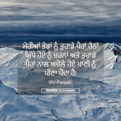 Picture 05 - ਹਿਜ਼ਕੀਏਲ 34:19 PANIRV - ਮੇਰੀਆਂ ਭੇਡਾਂ ਨੂੰ - Bible Verse Picture