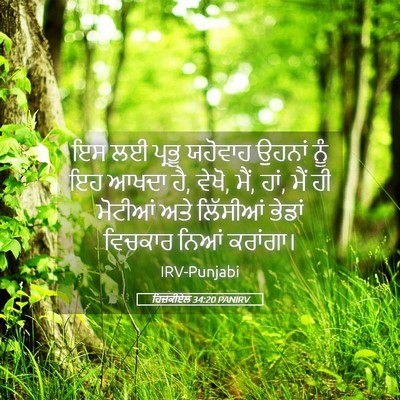 Picture 05 - ਹਿਜ਼ਕੀਏਲ 34:20 PANIRV - ਇਸ ਲਈ ਪ੍ਰਭੂ ਯਹੋਵਾਹ - Bible Verse Picture