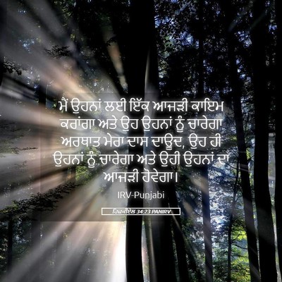 Picture 05 - ਹਿਜ਼ਕੀਏਲ 34:23 PANIRV - ਮੈਂ ਉਹਨਾਂ ਲਈ ਇੱਕ - Bible Verse Picture