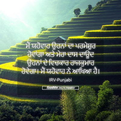 Picture 05 - ਹਿਜ਼ਕੀਏਲ 34:24 PANIRV - ਮੈਂ ਯਹੋਵਾਹ ਉਹਨਾਂ - Bible Verse Picture