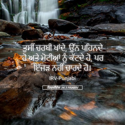 Picture 05 - ਹਿਜ਼ਕੀਏਲ 34:3 PANIRV - ਤੁਸੀਂ ਚਰਬੀ ਖਾਂਦੇ, - Bible Verse Picture