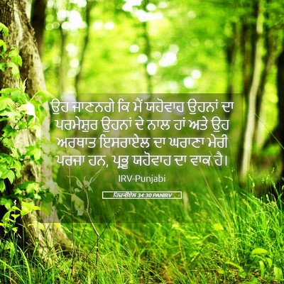Picture 05 - ਹਿਜ਼ਕੀਏਲ 34:30 PANIRV - ਉਹ ਜਾਣਨਗੇ ਕਿ ਮੈਂ - Bible Verse Picture