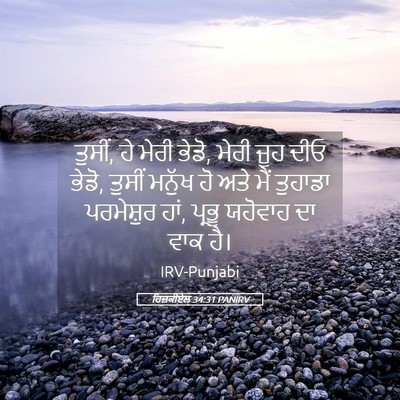 Picture 05 - ਹਿਜ਼ਕੀਏਲ 34:31 PANIRV - ਤੁਸੀਂ, ਹੇ ਮੇਰੀ - Bible Verse Picture