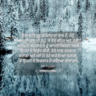 Picture 05 - ਹਿਜ਼ਕੀਏਲ 35:11 PANIRV - ਇਸ ਲਈ ਪ੍ਰਭੂ ਯਹੋਵਾਹ - Bible Verse Picture