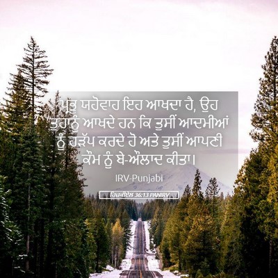 Picture 05 - ਹਿਜ਼ਕੀਏਲ 36:13 PANIRV - ਪ੍ਰਭੂ ਯਹੋਵਾਹ ਇਹ - Bible Verse Picture