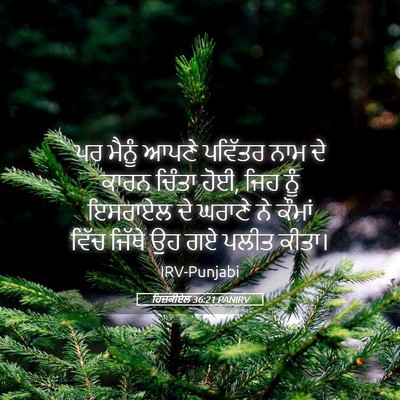 Picture 05 - ਹਿਜ਼ਕੀਏਲ 36:21 PANIRV - ਪਰ ਮੈਨੂੰ ਆਪਣੇ - Bible Verse Picture