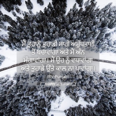 Picture 05 - ਹਿਜ਼ਕੀਏਲ 36:29 PANIRV - ਮੈਂ ਤੁਹਾਨੂੰ - Bible Verse Picture