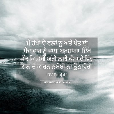 Picture 05 - ਹਿਜ਼ਕੀਏਲ 36:30 PANIRV - ਮੈਂ ਰੁੱਖਾਂ ਦੇ ਫਲਾਂ - Bible Verse Picture