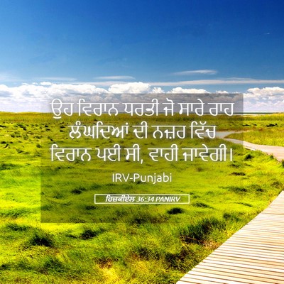 Picture 05 - ਹਿਜ਼ਕੀਏਲ 36:34 PANIRV - ਉਹ ਵਿਰਾਨ ਧਰਤੀ ਜੋ - Bible Verse Picture