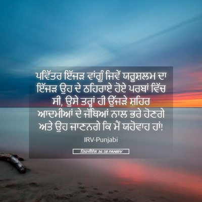 Picture 05 - ਹਿਜ਼ਕੀਏਲ 36:38 PANIRV - ਪਵਿੱਤਰ ਇੱਜੜ - Bible Verse Picture