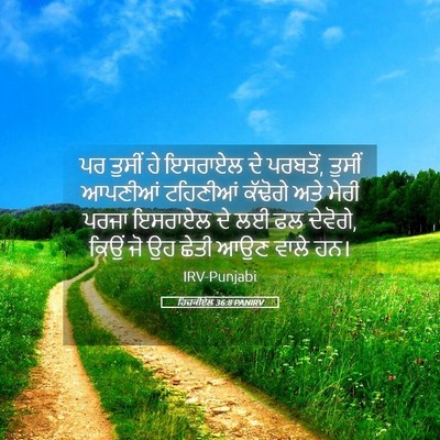 Picture 05 - ਹਿਜ਼ਕੀਏਲ 36:8 PANIRV - ਪਰ ਤੁਸੀਂ ਹੇ ਇਸਰਾਏਲ - Bible Verse Picture