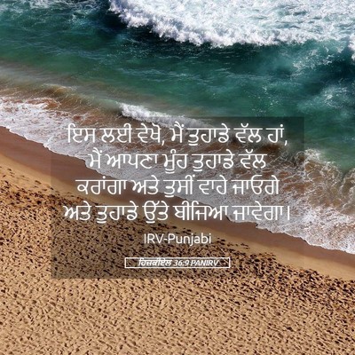 Picture 05 - ਹਿਜ਼ਕੀਏਲ 36:9 PANIRV - ਇਸ ਲਈ ਵੇਖੋ, ਮੈਂ - Bible Verse Picture