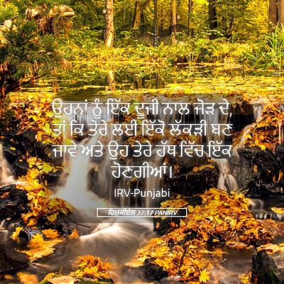 Picture 05 - ਹਿਜ਼ਕੀਏਲ 37:17 PANIRV - ਉਹਨਾਂ ਨੂੰ ਇੱਕ ਦੂਜੀ - Bible Verse Picture