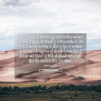 Picture 05 - ਹਿਜ਼ਕੀਏਲ 37:19 PANIRV - ਤਦ ਤੂੰ ਉਹਨਾਂ ਨੂੰ - Bible Verse Picture