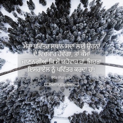 Picture 05 - ਹਿਜ਼ਕੀਏਲ 37:28 PANIRV - ਮੇਰਾ ਪਵਿੱਤਰ ਸਥਾਨ - Bible Verse Picture