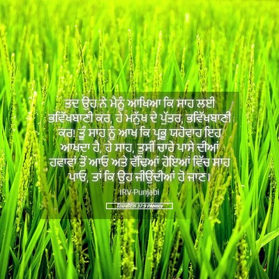 Picture 05 - ਹਿਜ਼ਕੀਏਲ 37:9 PANIRV - ਤਦ ਉਹ ਨੇ ਮੈਨੂੰ ਆਖਿਆ - Bible Verse Picture