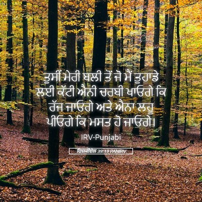 Picture 05 - ਹਿਜ਼ਕੀਏਲ 39:19 PANIRV - ਤੁਸੀਂ ਮੇਰੀ ਬਲੀ ਤੋਂ - Bible Verse Picture