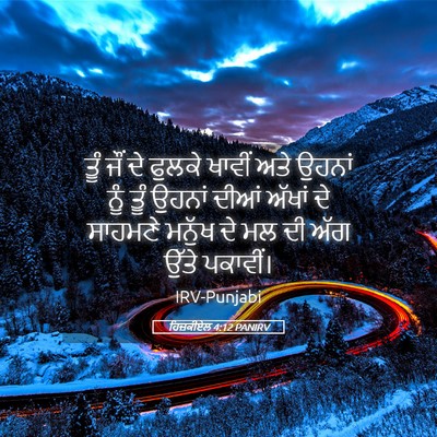 Picture 05 - ਹਿਜ਼ਕੀਏਲ 4:12 PANIRV - ਤੂੰ ਜੌਂ ਦੇ ਫੁਲਕੇ - Bible Verse Picture