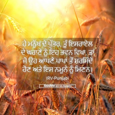 Picture 05 - ਹਿਜ਼ਕੀਏਲ 43:10 PANIRV - ਹੇ ਮਨੁੱਖ ਦੇ ਪੁੱਤਰ, - Bible Verse Picture