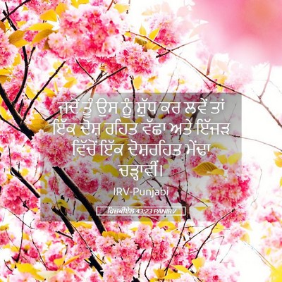Picture 05 - ਹਿਜ਼ਕੀਏਲ 43:23 PANIRV - ਜਦੋਂ ਤੂੰ ਉਸ ਨੂੰ - Bible Verse Picture