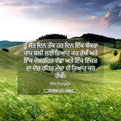 Picture 05 - ਹਿਜ਼ਕੀਏਲ 43:25 PANIRV - ਤੂੰ ਸੱਤ ਦਿਨ ਤੱਕ ਹਰ - Bible Verse Picture
