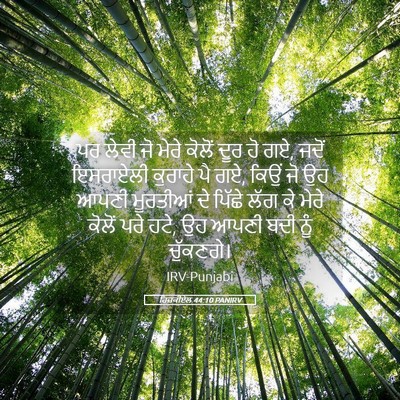 Picture 05 - ਹਿਜ਼ਕੀਏਲ 44:10 PANIRV - ਪਰ ਲੇਵੀ ਜੋ ਮੇਰੇ - Bible Verse Picture