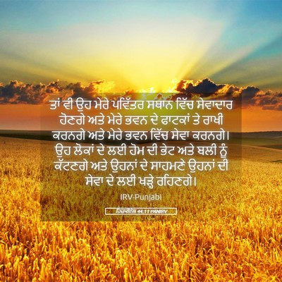 Picture 05 - ਹਿਜ਼ਕੀਏਲ 44:11 PANIRV - ਤਾਂ ਵੀ ਉਹ ਮੇਰੇ - Bible Verse Picture