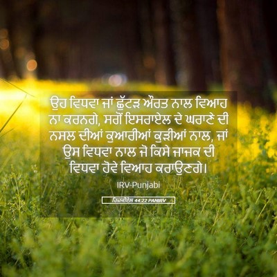 Picture 05 - ਹਿਜ਼ਕੀਏਲ 44:22 PANIRV - ਉਹ ਵਿਧਵਾ ਜਾਂ ਛੁੱਟੜ - Bible Verse Picture