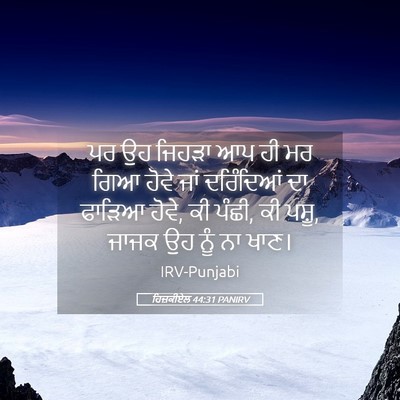 Picture 05 - ਹਿਜ਼ਕੀਏਲ 44:31 PANIRV - ਪਰ ਉਹ ਜਿਹੜਾ ਆਪ ਹੀ - Bible Verse Picture