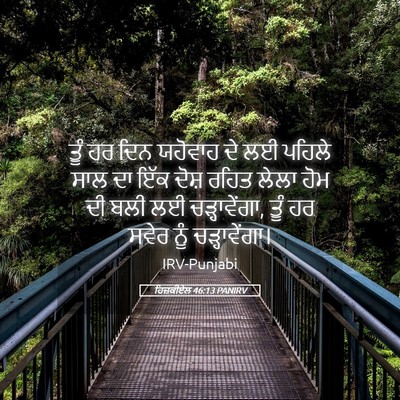 Picture 05 - ਹਿਜ਼ਕੀਏਲ 46:13 PANIRV - ਤੂੰ ਹਰ ਦਿਨ ਯਹੋਵਾਹ - Bible Verse Picture