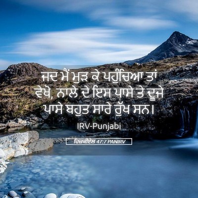 Picture 05 - ਹਿਜ਼ਕੀਏਲ 47:7 PANIRV - ਜਦ ਮੈਂ ਮੁੜ ਕੇ - Bible Verse Picture