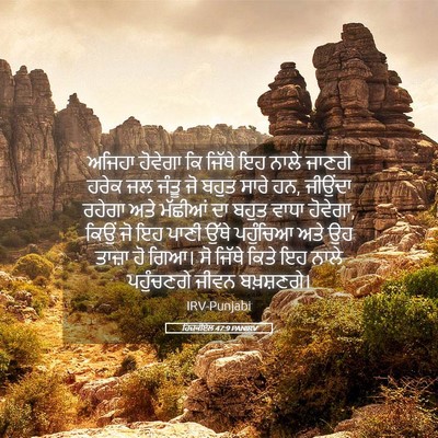 Picture 05 - ਹਿਜ਼ਕੀਏਲ 47:9 PANIRV - ਅਜਿਹਾ ਹੋਵੇਗਾ ਕਿ - Bible Verse Picture