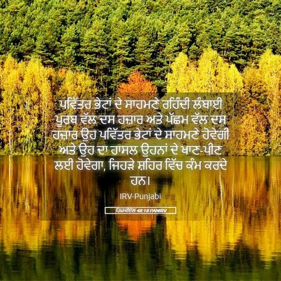 Picture 05 - ਹਿਜ਼ਕੀਏਲ 48:18 PANIRV - ਪਵਿੱਤਰ ਭੇਟਾਂ ਦੇ - Bible Verse Picture