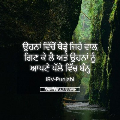 Picture 05 - ਹਿਜ਼ਕੀਏਲ 5:3 PANIRV - ਉਹਨਾਂ ਵਿੱਚੋਂ - Bible Verse Picture