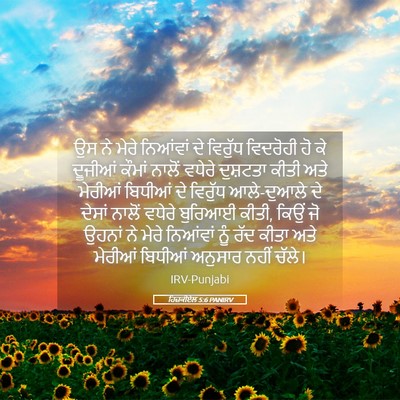 Picture 05 - ਹਿਜ਼ਕੀਏਲ 5:6 PANIRV - ਉਸ ਨੇ ਮੇਰੇ ਨਿਆਂਵਾਂ - Bible Verse Picture
