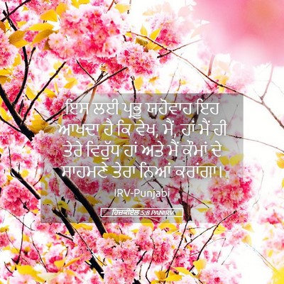 Picture 05 - ਹਿਜ਼ਕੀਏਲ 5:8 PANIRV - ਇਸ ਲਈ ਪ੍ਰਭੂ ਯਹੋਵਾਹ - Bible Verse Picture