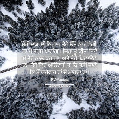 Picture 05 - ਹਿਜ਼ਕੀਏਲ 7:9 PANIRV - ਮੇਰੀ ਦਯਾ ਦੀ ਨਿਗਾਹ - Bible Verse Picture