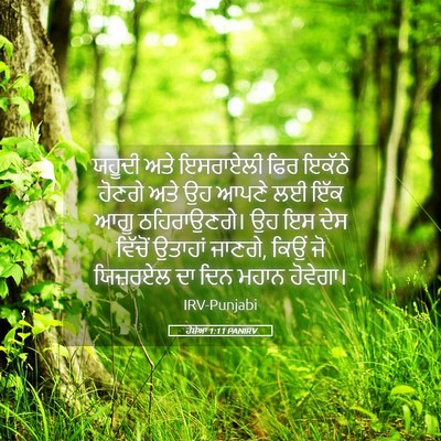 Picture 05 - ਹੋਸ਼ੇਆ 1:11 PANIRV - ਯਹੂਦੀ ਅਤੇ ਇਸਰਾਏਲੀ - Bible Verse Picture