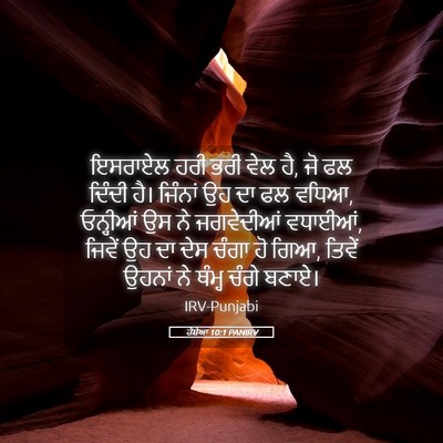 Picture 05 - ਹੋਸ਼ੇਆ 10:1 PANIRV - ਇਸਰਾਏਲ ਹਰੀ ਭਰੀ ਵੇਲ - Bible Verse Picture