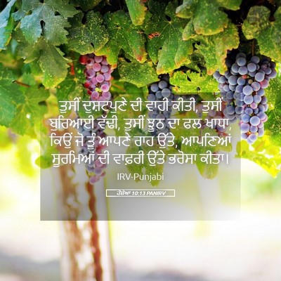 Picture 05 - ਹੋਸ਼ੇਆ 10:13 PANIRV - ਤੁਸੀਂ ਦੁਸ਼ਟਪੁਣੇ - Bible Verse Picture